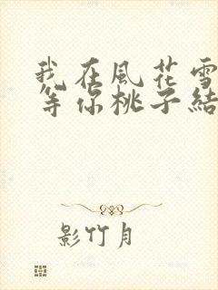 我在风花雪月里等你桃子结局