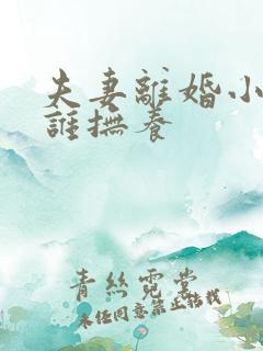 夫妻离婚小孩归谁抚养