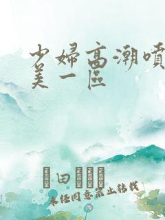 少妇高潮喷水欧美一区