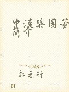 中汉集团董事长简介