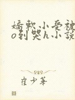 娇软小受被cao到哭h小说