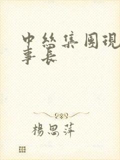 中丝集团现任董事长