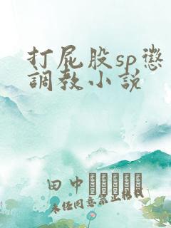 打屁股sp惩罚调教小说