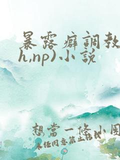 暴露癖调教(高h,np)小说