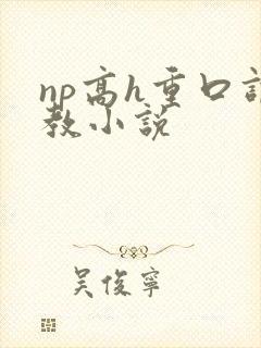 np高h重口调教小说