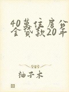40万住房公积金贷款20年利息多少