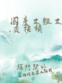 国产又粗又猛又,爽视频