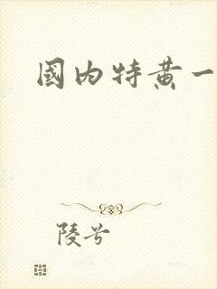 国内特黄一级片