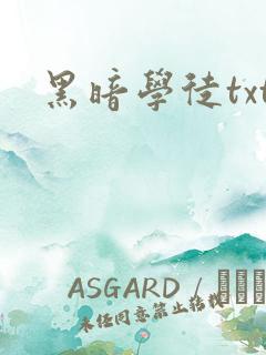 黑暗学徒txt