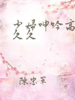 少妇呻吟高潮久久久