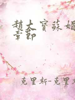 赵大宝苏媚后续章节