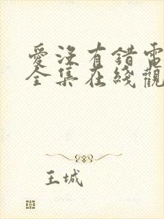 爱没有错电视剧全集在线观看免费