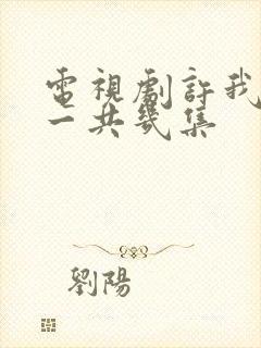 电视剧许我耀眼一共几集