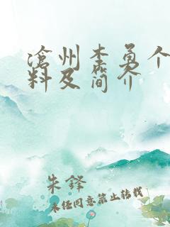 沧州李勇个人资料及简介