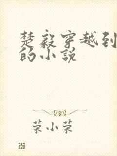 楚毅穿越到明朝的小说