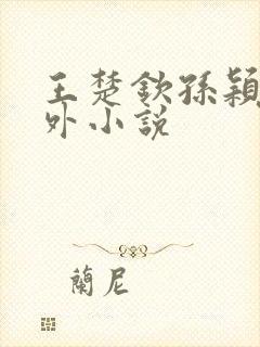 王楚钦孙颖莎番外小说