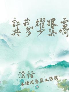 许我耀眼电视剧共多少集啊