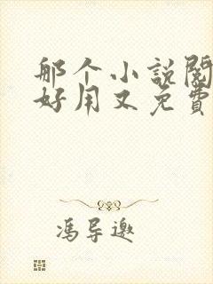 那个小说阅读器好用又免费