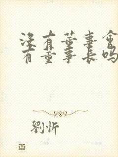 没有董事会可以有董事长吗