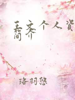 王文个人资料及简介