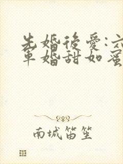 先婚后爱:六零军婚甜如蜜