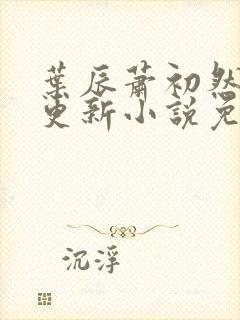 叶辰萧初然最新更新小说免费阅读