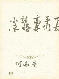 小说 高手下山,未婚妻们太妖娆