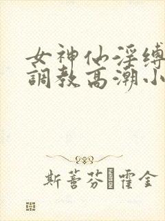 女神仙淫缚紧缚调教高潮小说