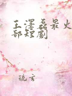 王泽磊最火的十部短剧