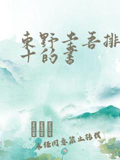 东野圭吾排名前十的书