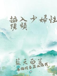 插入少妇性高潮视频