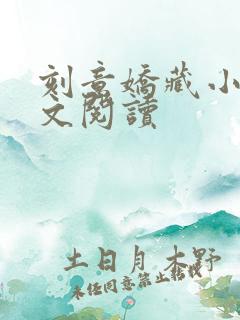 刻意娇藏小说全文阅读