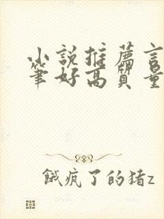 小说推荐言情文笔好高质量