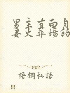 男主有白月光追妻火葬场的小说