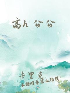高h 公公