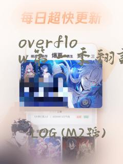 overflow第一季翻译漫画