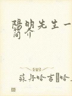 阳明先生一生的简介