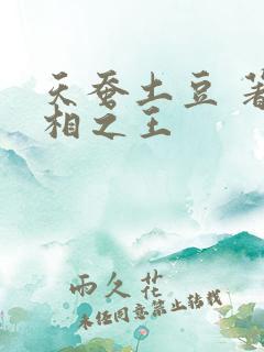 天蚕土豆 著万相之王