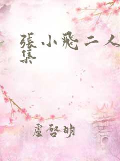 张小飞二人转全集