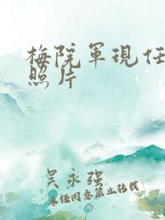 梅院军现任妻子照片