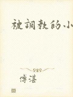 被调教的小骚货