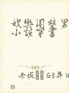 娱乐圈双男主的小说穿书