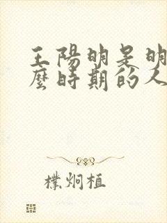 王阳明是明朝什么时期的人