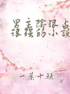 男主阴狠占有欲很强的小说古言