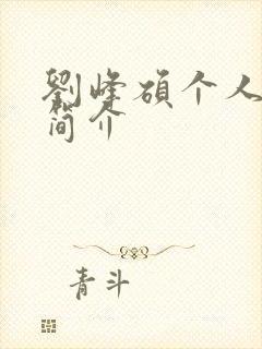 刘峰硕个人资料简介