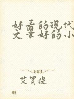 好看的现代言情文笔好的小说