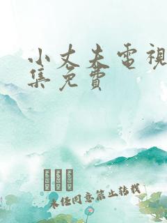 小丈夫电视剧全集免费