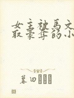 女主被马文才强取豪夺的小说