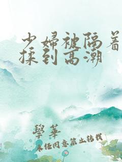 少妇被隔着内裤揉到高潮