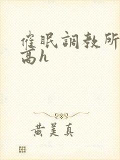 催眠调教所np高h